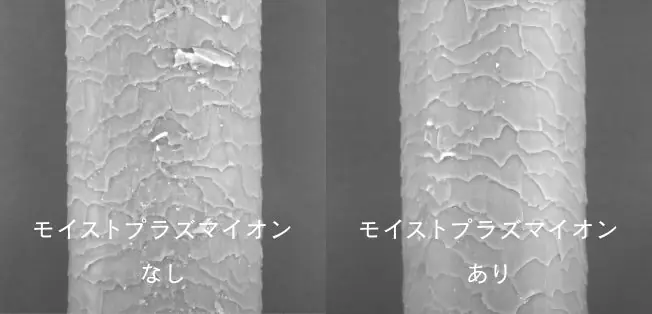 キューティクル比較
